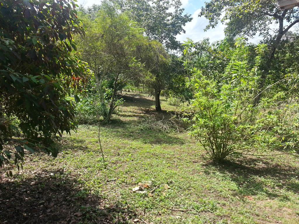 Xultun Farm Casa de hóspedes San Ignacio Exterior foto