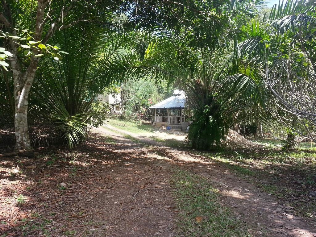 Xultun Farm Casa de hóspedes San Ignacio Exterior foto